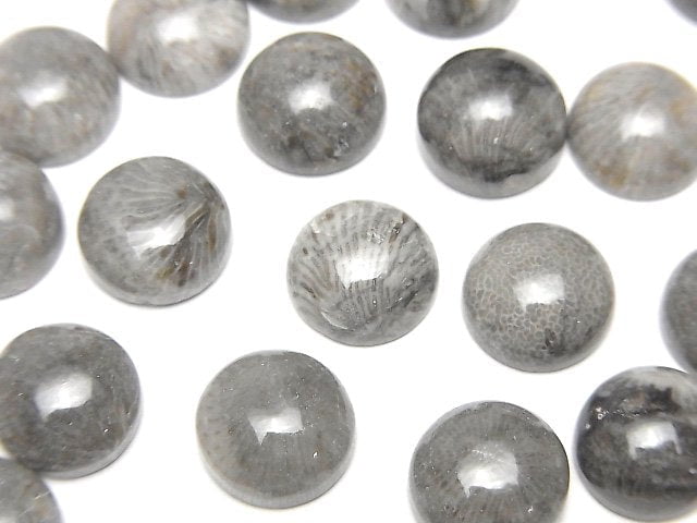 Coral Natural Beads