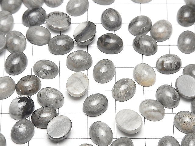 [Video] Moroccan Black Fossil Coral Oval Cabochon 10x8mm 5pcs