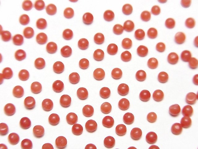 Coral Natural Beads