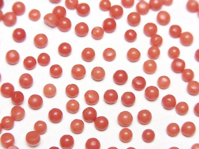 Coral Natural Beads