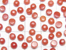 [Video] Sardinian Coral, Red Coral Round Cabochon 4x4mm 3pcs