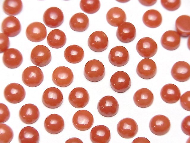 Coral Natural Beads