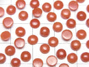 [Video] Sardinian Coral, Red Coral Round Cabochon 5x5mm 2pcs