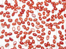 [Video] Sardinian Coral, Red Coral Oval Cabochon 5x3mm 5pcs