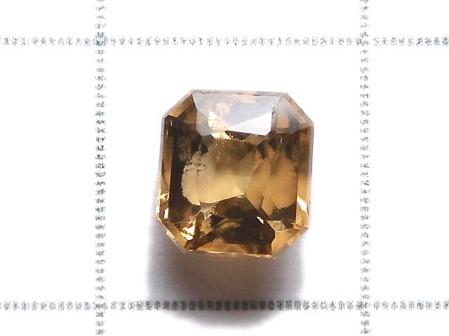 [Video][One of a kind] High Quality Enstatite Loose stone Faceted 1pc NO.13