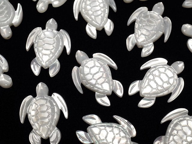 Mother of Pearl (Shell Beads) Pearl & Shell Beads
