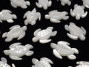 [Video] High quality white Shell AAA turtle shape 18x13mm 2pcs