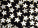 [Video] White Shell Star Charm 12x12mm 18KGP 1pc