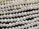 Pearl Pearl & Shell Beads