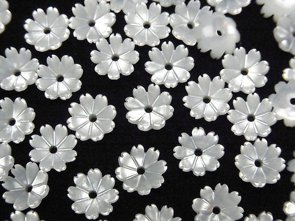 Mother of Pearl (Shell Beads) Pearl & Shell Beads