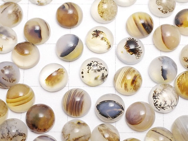 [Video]Montana Moss Agate AA++ Round Cabochon 6x6mm 5pcs