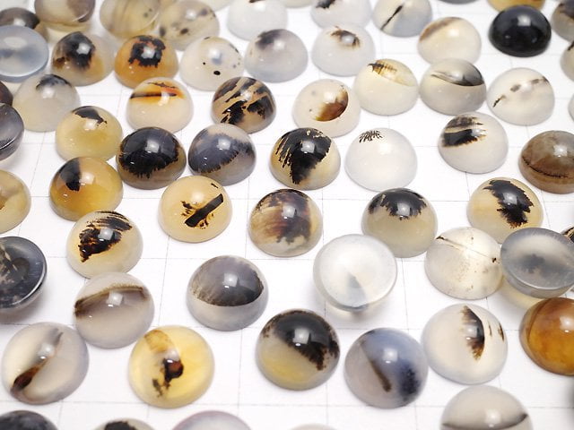 [Video]Montana Moss Agate AA++ Round Cabochon 10x10mm 4pcs