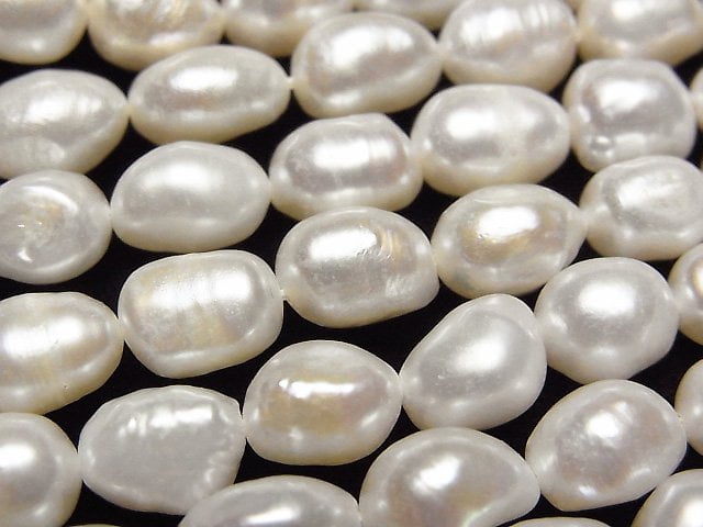 Pearl Pearl & Shell Beads