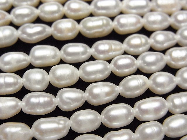 Pearl Pearl & Shell Beads