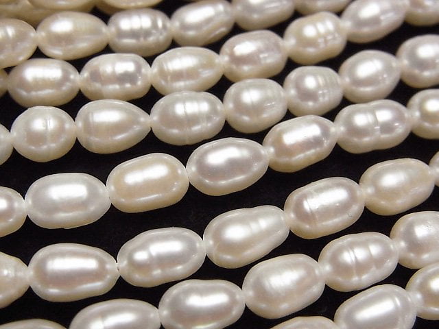 Pearl Pearl & Shell Beads