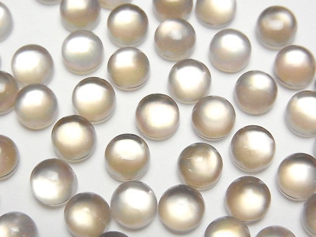 Mother of Pearl (Shell Beads) Pearl & Shell Beads