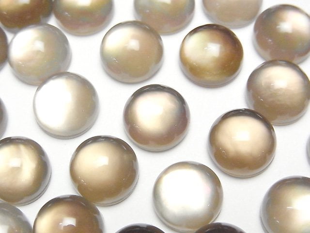 Mother of Pearl (Shell Beads) Pearl & Shell Beads