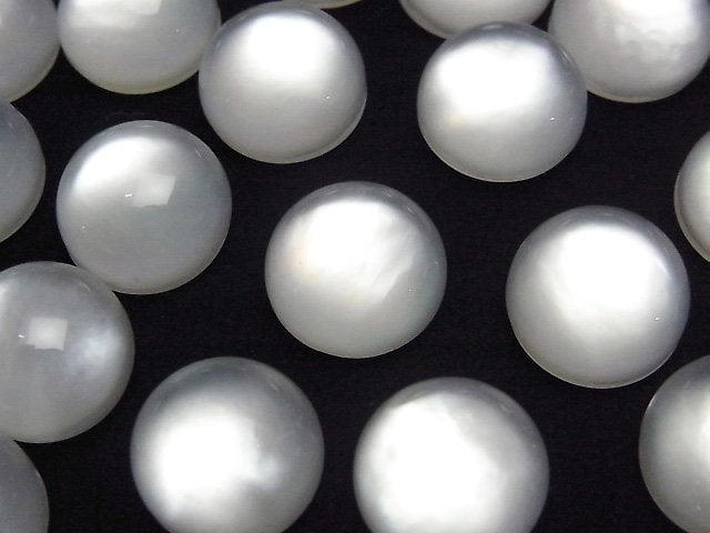 Mother of Pearl (Shell Beads) Pearl & Shell Beads