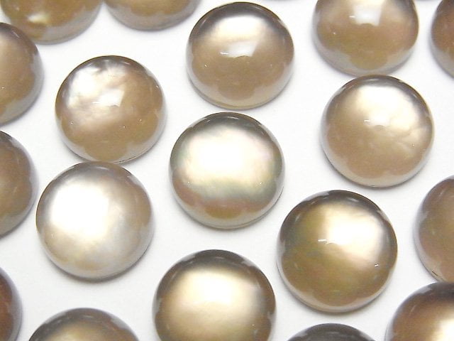 Mother of Pearl (Shell Beads) Pearl & Shell Beads