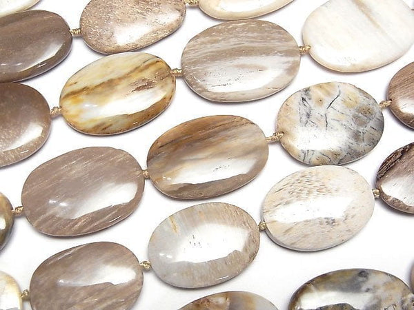 [Video]Petrified Wood Flat Oval half or 1strand beads (aprx.13inch/32cm)