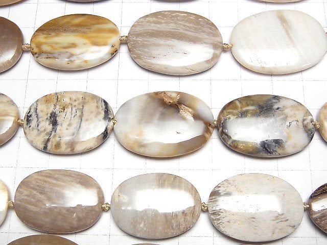 [Video]Petrified Wood Flat Oval half or 1strand beads (aprx.13inch/32cm)