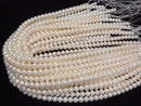 [Video]Fresh Water Pearl AAA Semi Round 6.5-8mm White half or 1strand beads (aprx.15inch/37cm)