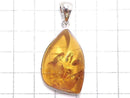 [Video][One of a kind] Baltic Amber Pendant Silver925 NO.14