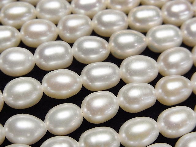 Pearl Pearl & Shell Beads