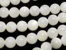 Mother of Pearl (Shell Beads) Pearl & Shell Beads
