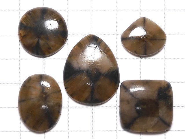 [Video][One of a kind] Chiastolite Cabochon 5pcs NO.36