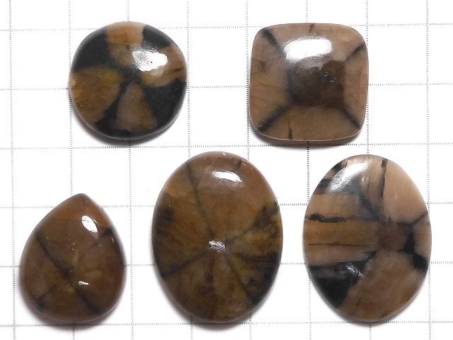 [Video][One of a kind] Chiastolite Cabochon 5pcs NO.37