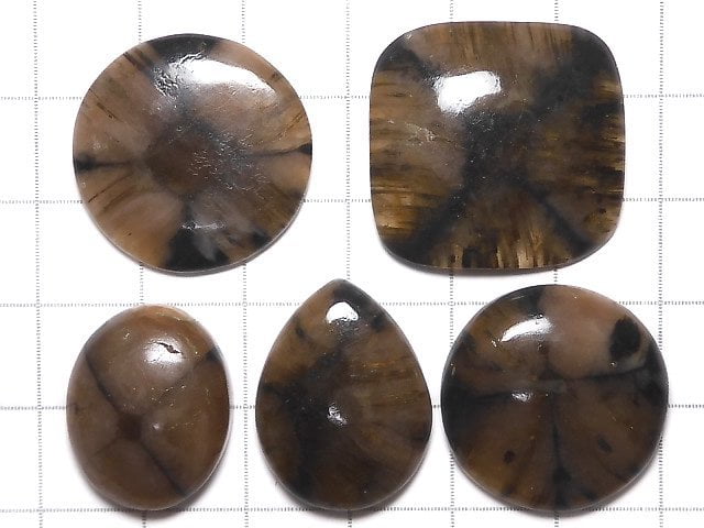 [Video][One of a kind] Chiastolite Cabochon 5pcs NO.39