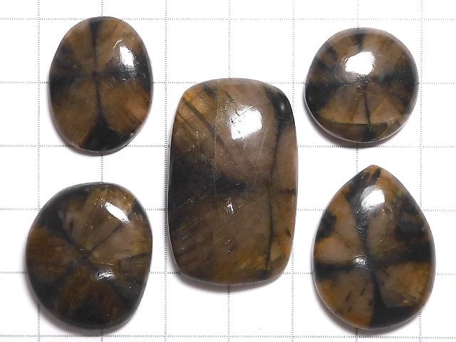 [Video][One of a kind] Chiastolite Cabochon 5pcs NO.40