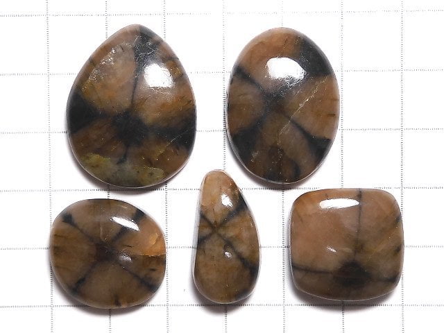 [Video][One of a kind] Chiastolite Cabochon 5pcs NO.45