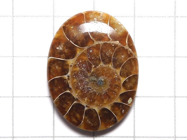 [Video][One of a kind] Ammonite Loose stone 1pc NO.105