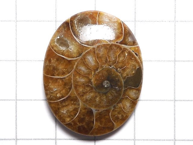 [Video][One of a kind] Ammonite Loose stone 1pc NO.107