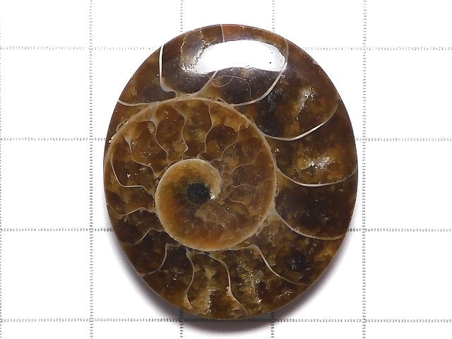 [Video][One of a kind] Ammonite Loose stone 1pc NO.110