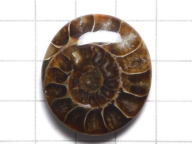 [Video][One of a kind] Ammonite Loose stone 1pc NO.114
