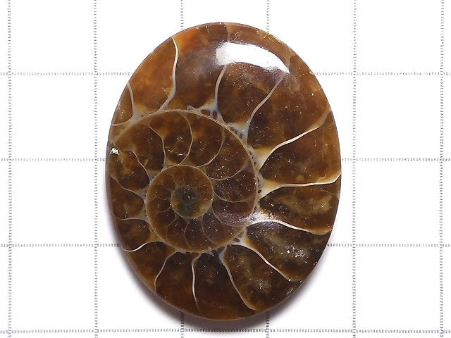 [Video][One of a kind] Ammonite Loose stone 1pc NO.115
