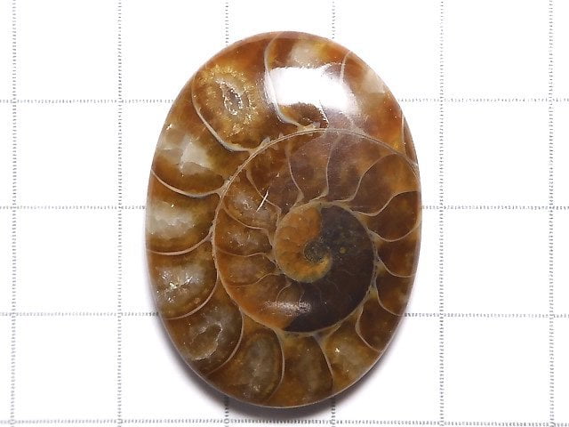 [Video][One of a kind] Ammonite Loose stone 1pc NO.120