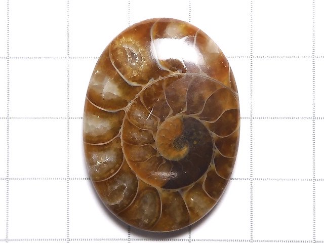 [Video][One of a kind] Ammonite Loose stone 1pc NO.120