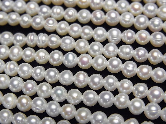 Pearl Pearl & Shell Beads