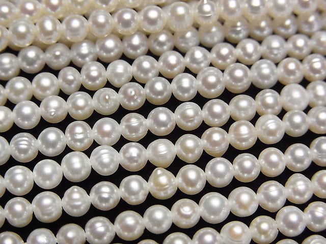 Pearl Pearl & Shell Beads