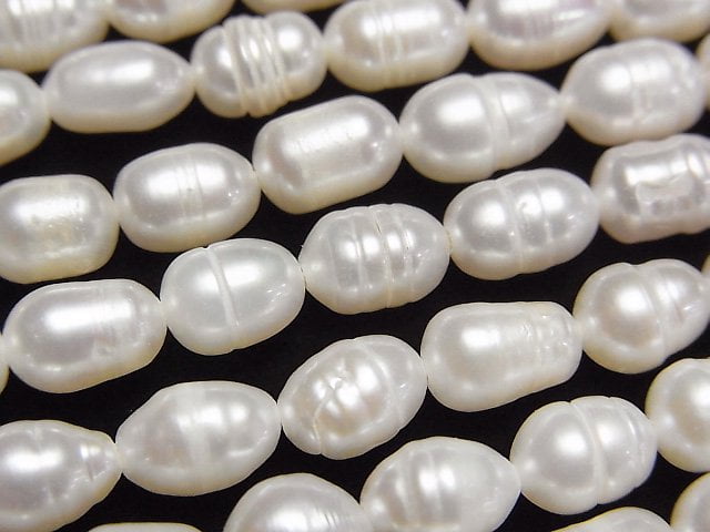 Pearl Pearl & Shell Beads