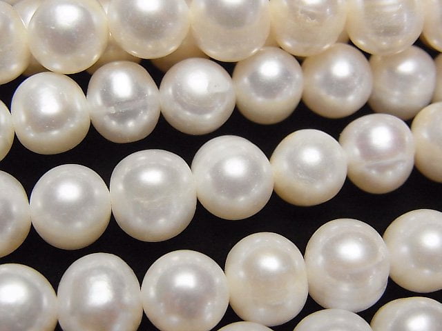 Pearl Pearl & Shell Beads