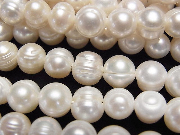 Pearl Pearl & Shell Beads