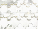[Video] White Shell AAA Flower Motif 13x13x3mm 1/4 or 1strand beads (aprx.15inch/38cm)