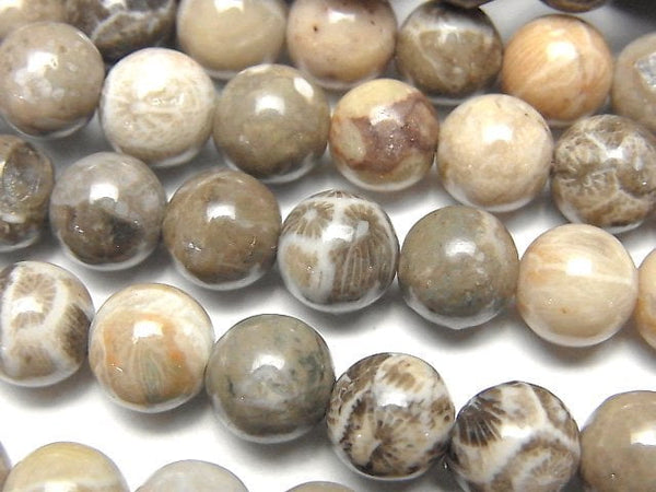 Fossil Coral AAA Round 8mm half or 1strand beads (aprx.15inch/36cm)