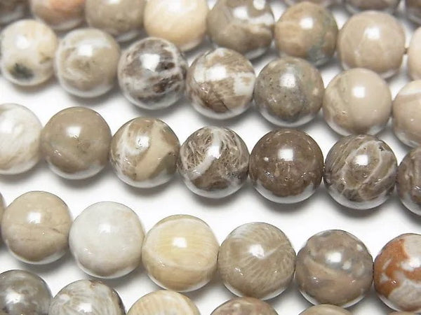 [Video] Fossil Coral Round 8mm half or 1strand beads (aprx.15inch/36cm)