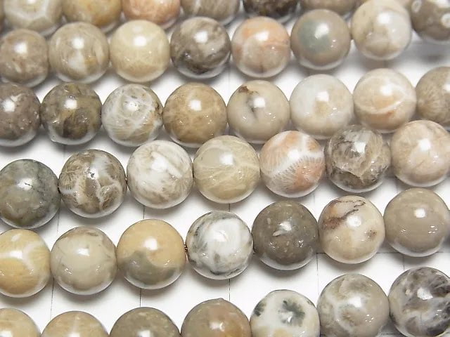 [Video] Fossil Coral Round 8mm half or 1strand beads (aprx.15inch/36cm)